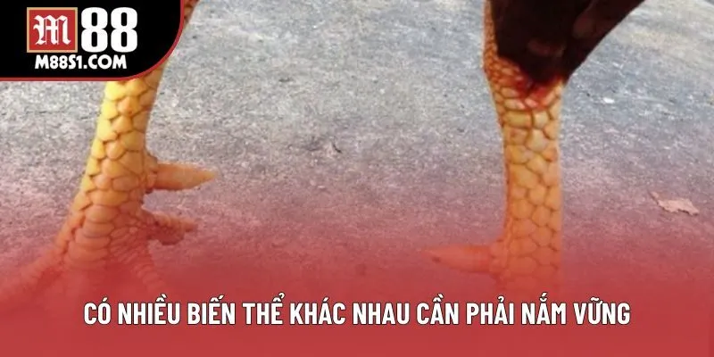 Có nhiều biến thể khác nhau cần phải nắm vững Có nhiều biến thể khác nhau cần phải nắm vững
