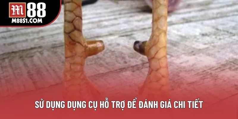 Sử dụng dụng cụ hỗ trợ để đánh giá chi tiết Sử dụng dụng cụ hỗ trợ để đánh giá chi tiết